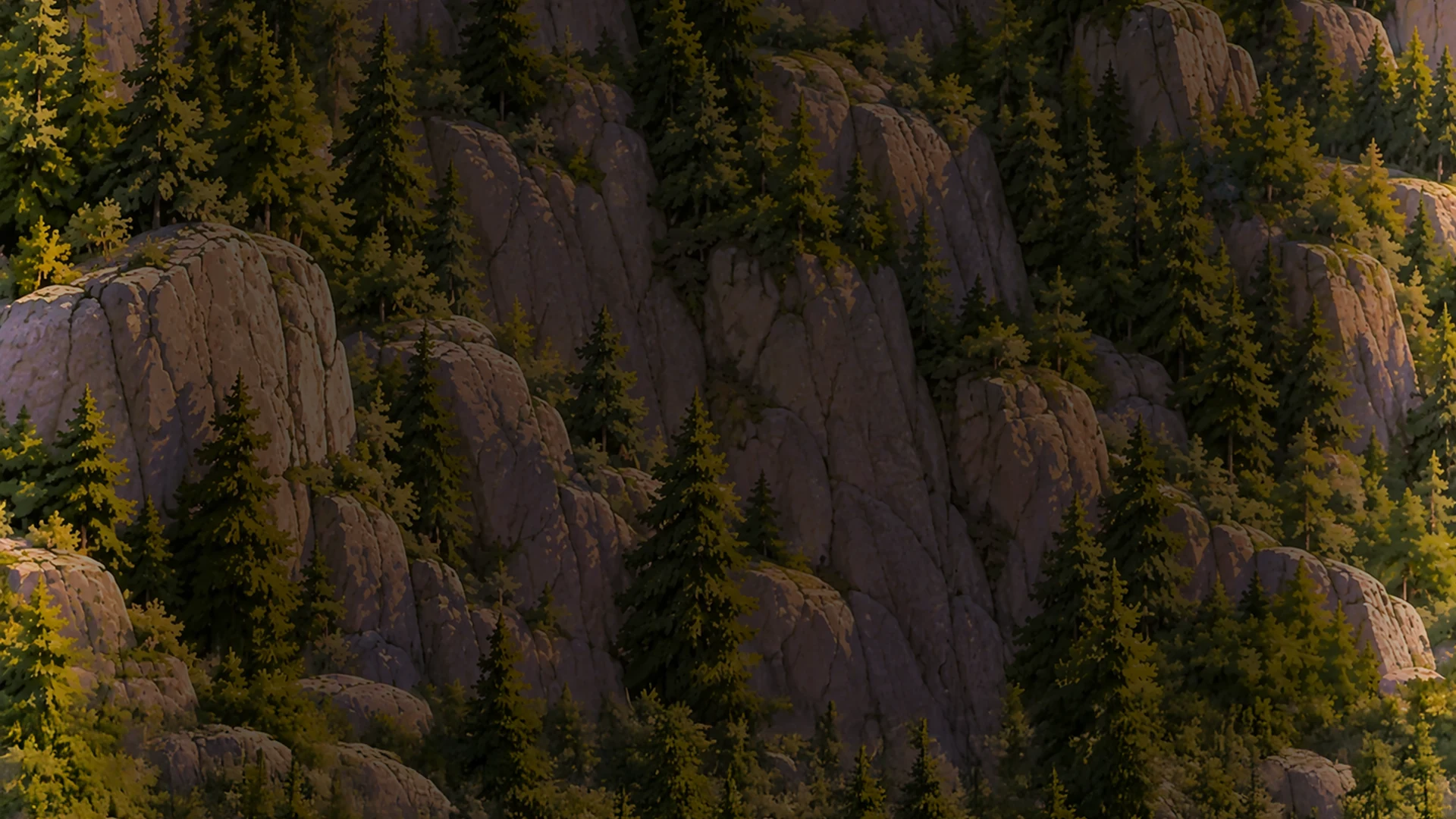 The boulder field