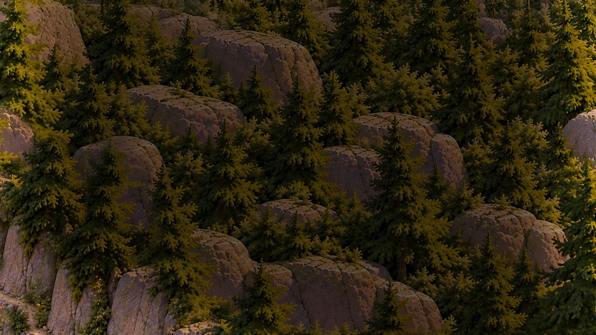 The second boulder field